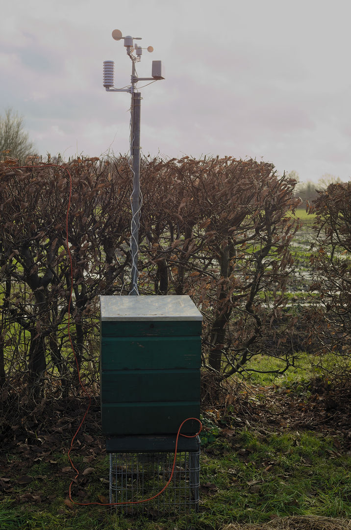 The prototype in the garden